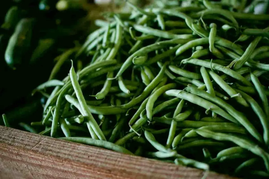 pile of green beans