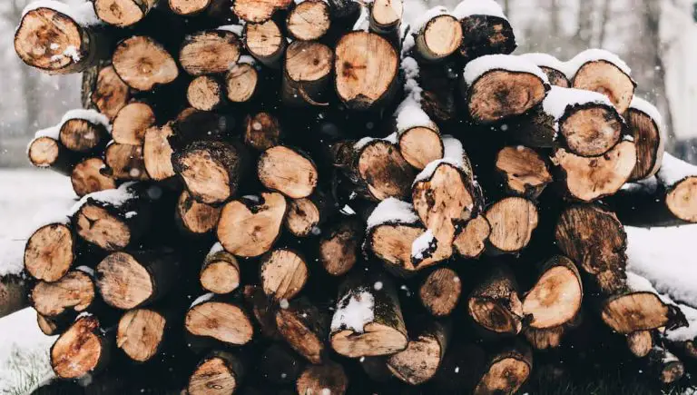 How to Store Firewood Outside in Winter