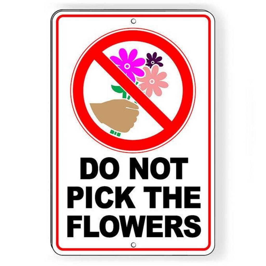 do not pick the flowers