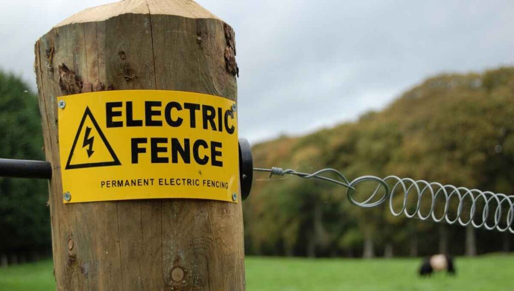 can I have an electric fence around my property