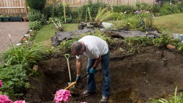 Can I Dig a Pond on My Property? (You Need This First)