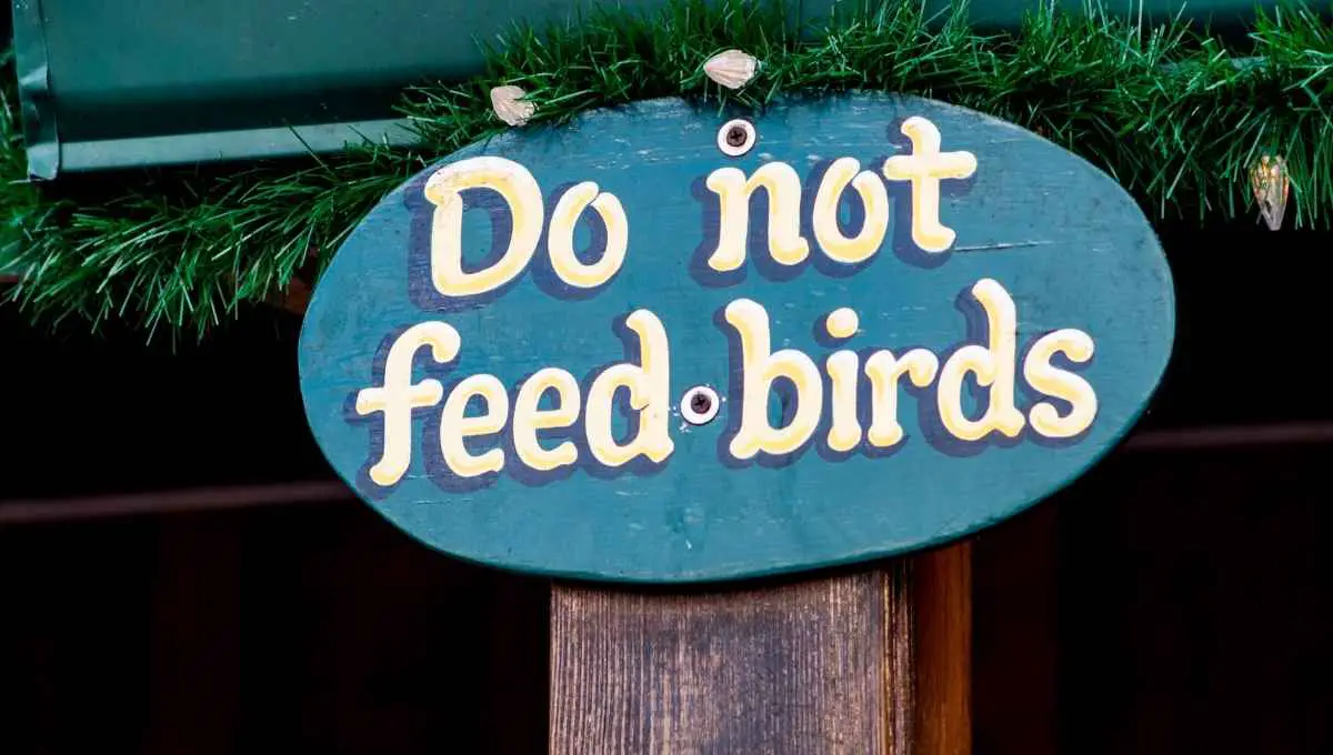 Can I Stop My Neighbor Feeding Birds