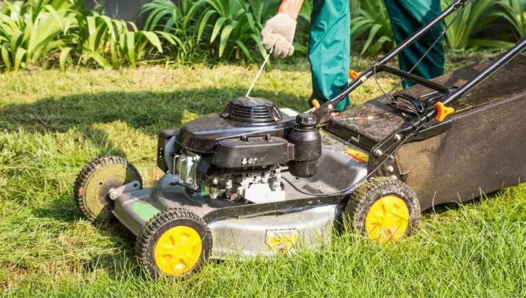 Do Lawn Mowers Take Regular Gas? (This Type Is Better)