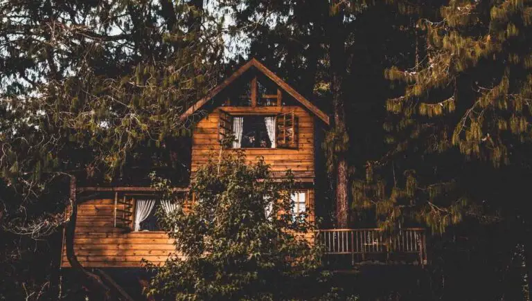 Can You Live in a Treehouse Full Time? (Only if You Do This)