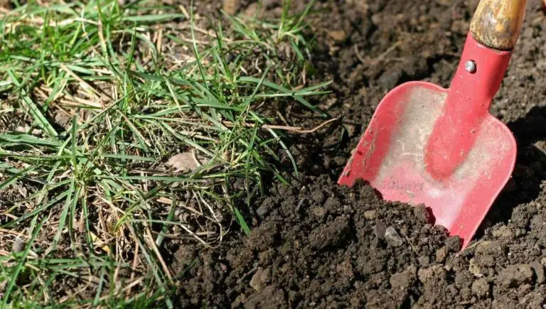 Can a Garden Hose Be Buried? (Here’s How to Do It Easily)