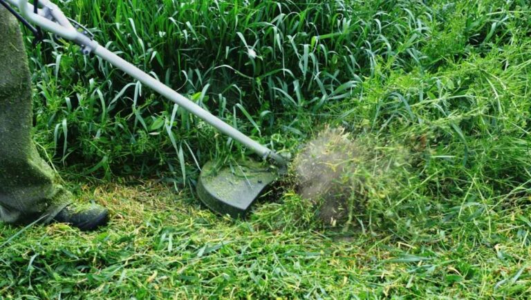Can a Weed Eater Overheat? (Things to Check)