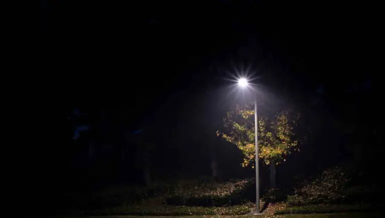 Can You Get Street Lights Turned Off? (Try Doing This First)