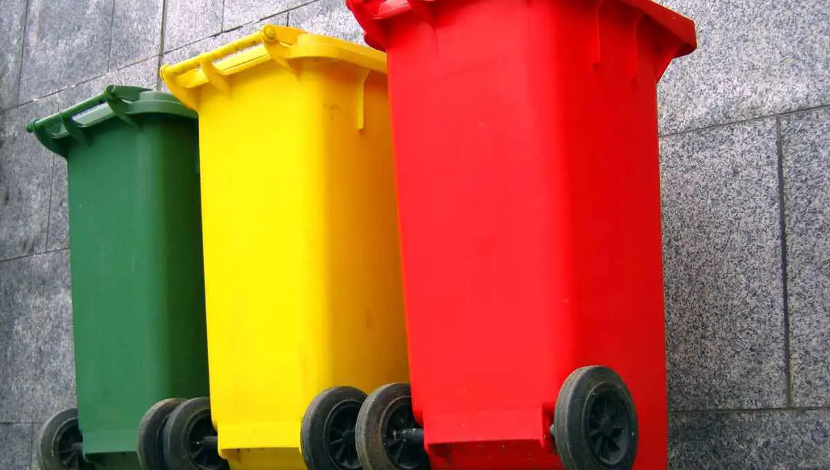 Should You Keep Trash Cans in the Garage