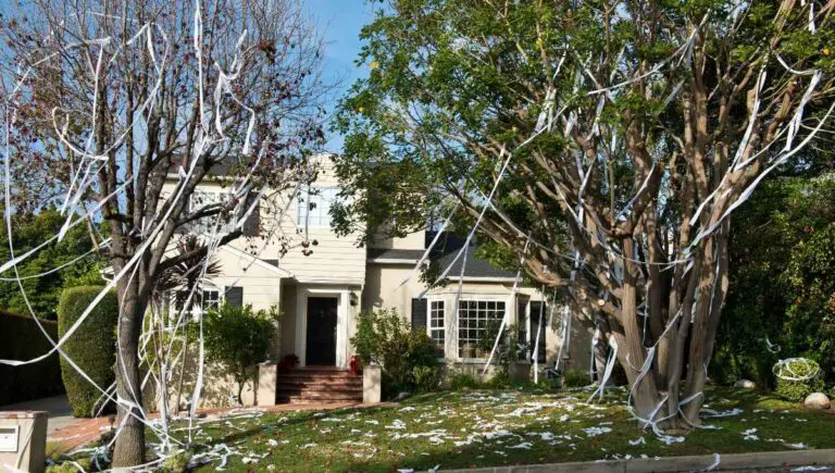 Toilet Papered House? (What to Do if Your House Gets Tp’d)